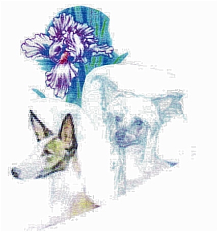 newlogo.jpg