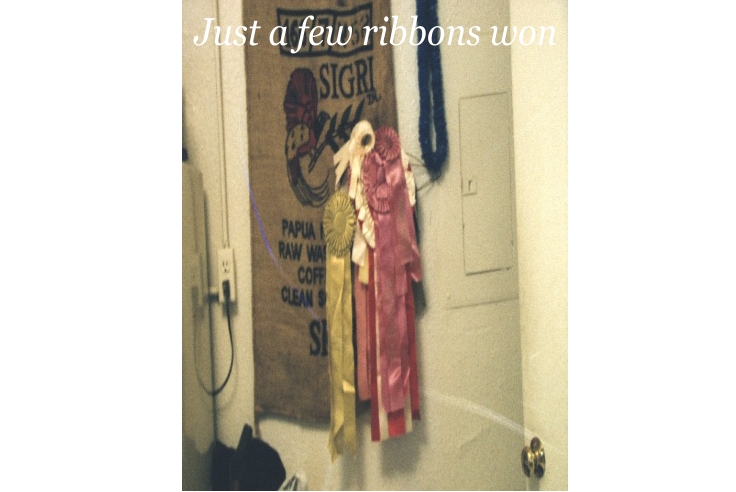 ribbonswon.jpg